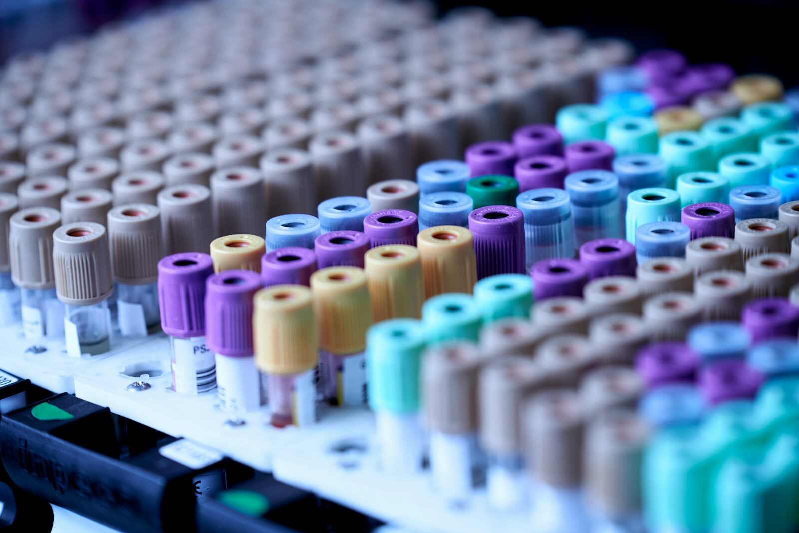 Top 10 Blood Tests You Should Get Annually 